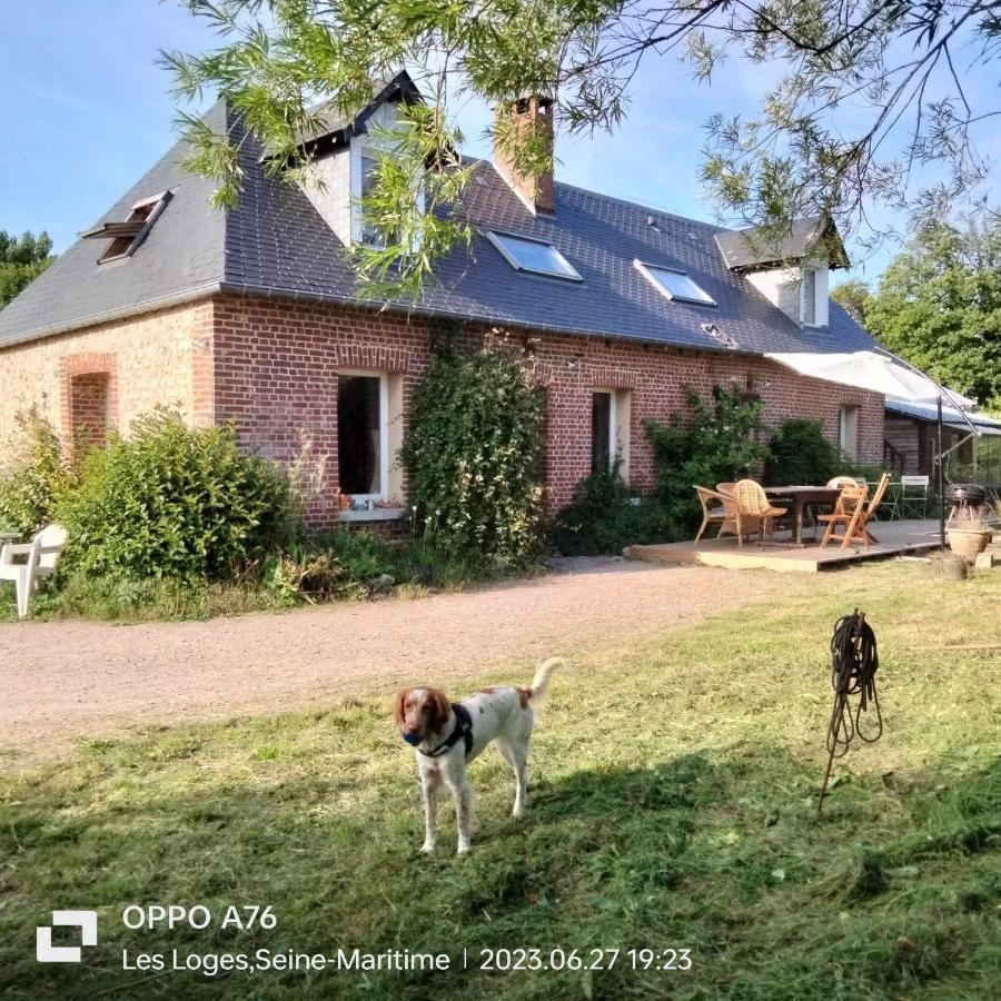 Homestay Dans La Verdure